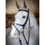 LeMieux Grackle Bridle - Black